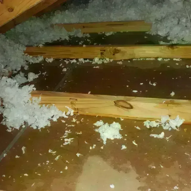 Attic Water Damage in Lake County, MI