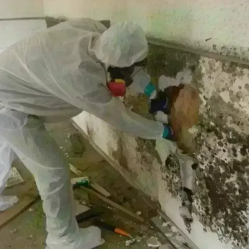 Mold Remediation and Removal in Lake County, MI