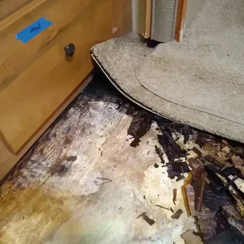 Best Wood Floor Water Damage Service in Lake County, MI